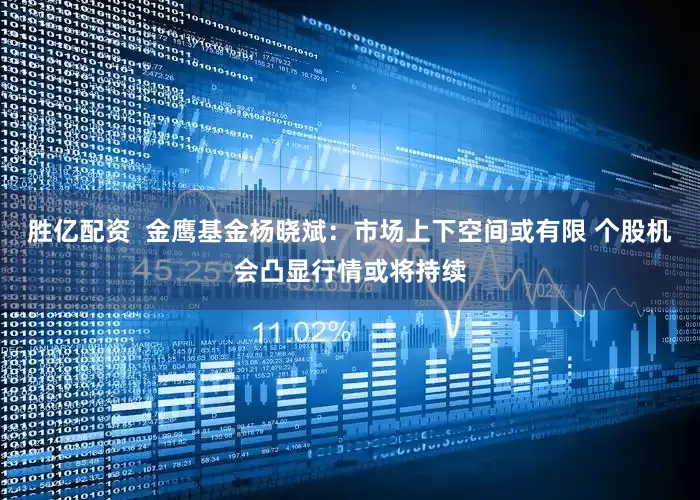 胜亿配资  金鹰基金杨晓斌：市场上下空间或有限 个股机会凸显行情或将持续