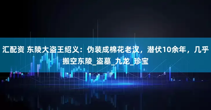 汇配资 东陵大盗王绍义：伪装成棉花老汉，潜伏10余年，几乎搬空东陵_盗墓_九龙_珍宝