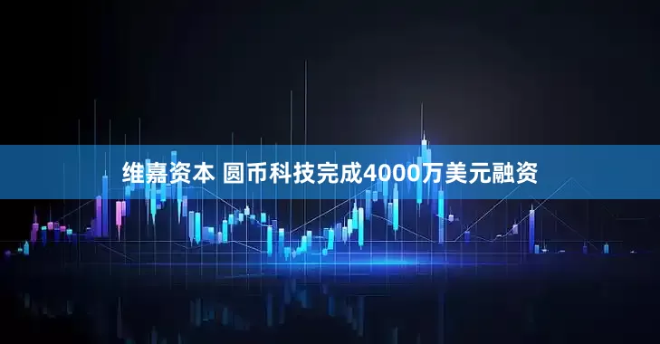 维嘉资本 圆币科技完成4000万美元融资