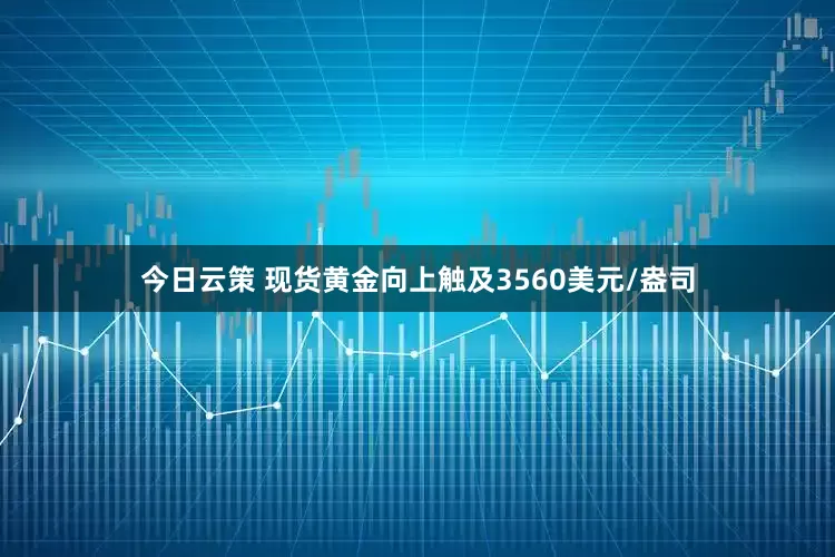 今日云策 现货黄金向上触及3560美元/盎司